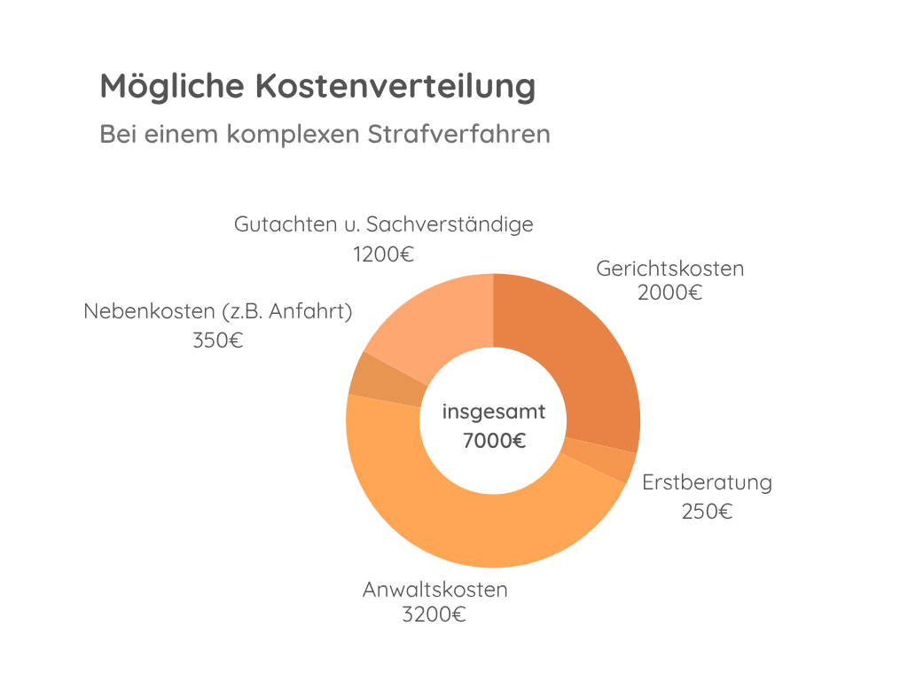 Grafik zur Kostenverteilung bei komplexen Strafverfahren – Aufschlüsselung möglicher Posten
